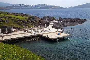 Palmalife And Bodrum